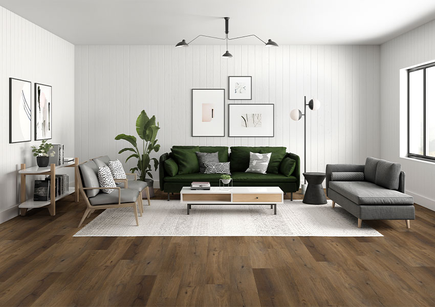 pattern area rug in living room